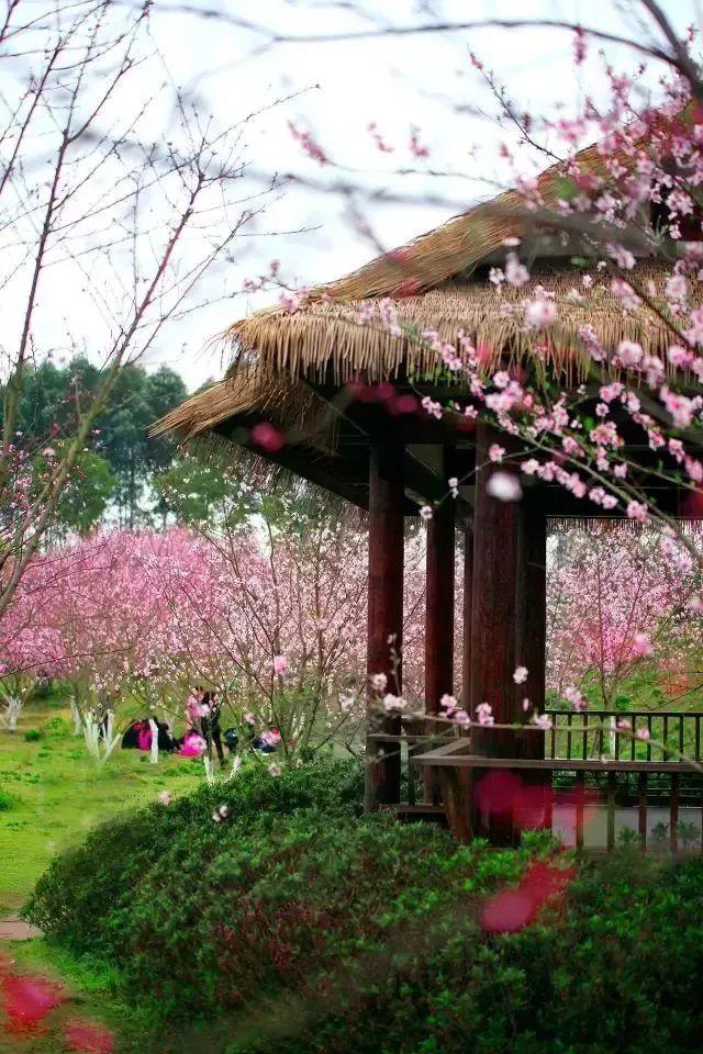 汉魂唐风的最大“破绽”:疯狂打压他人,学术能力存疑