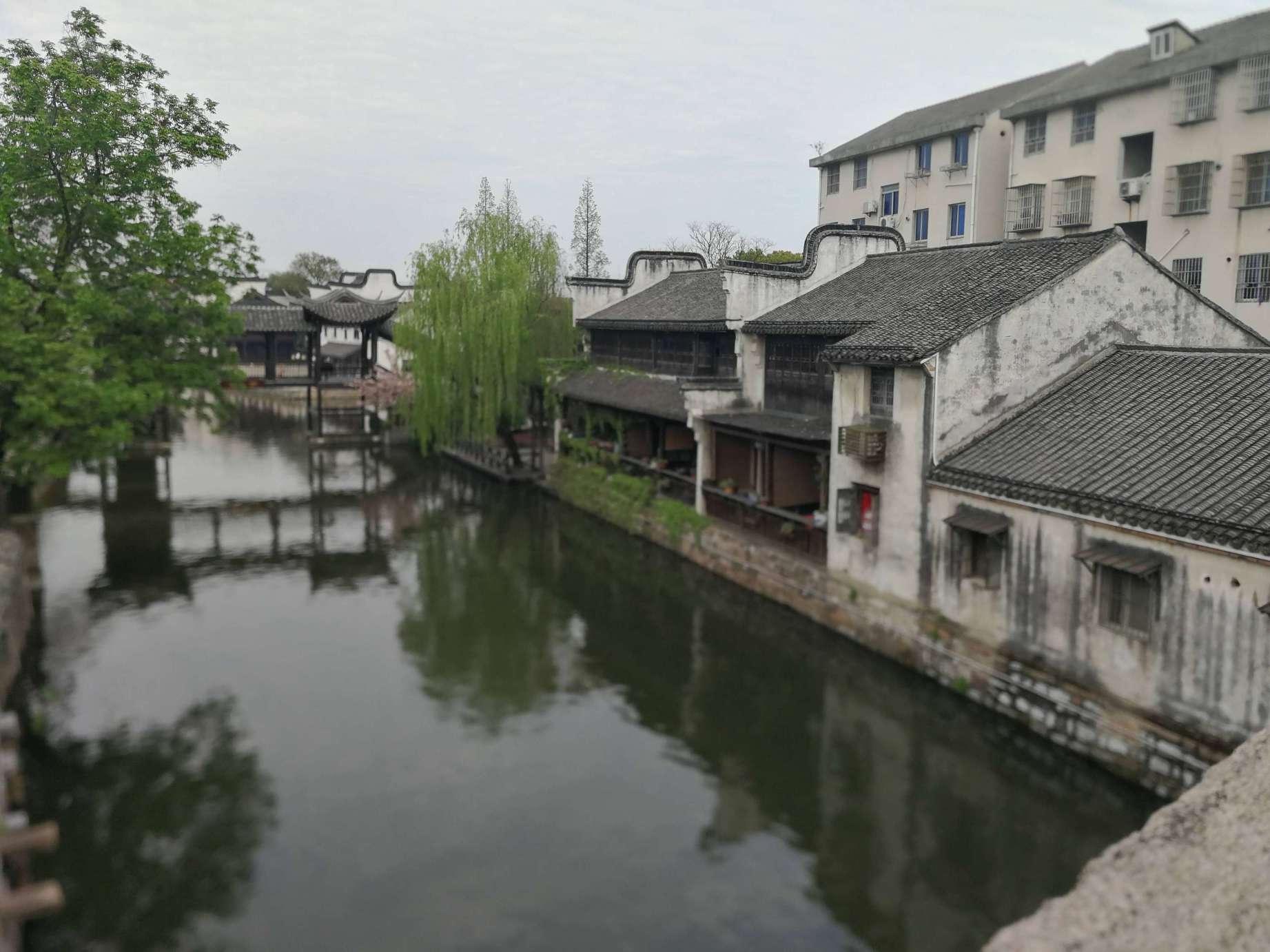 赏石迎春!阿拉善龙年生肖石展来啦~